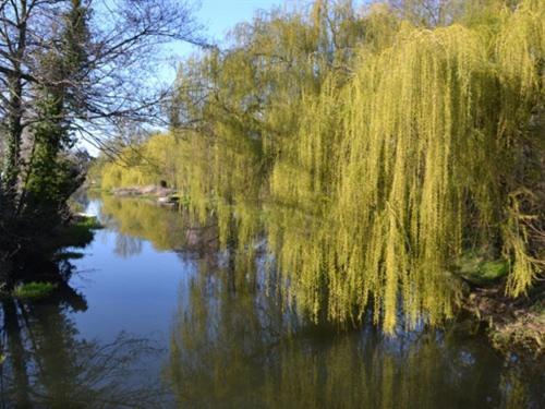 Bridge House B&B Coltishall Екстер'єр фото